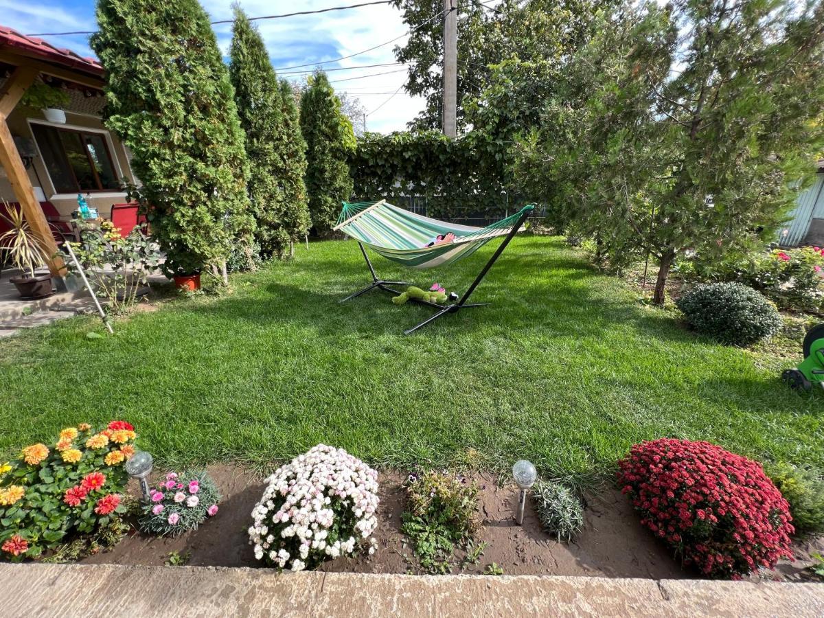 Agropensiunea Vila Cristina Niculitel Екстер'єр фото