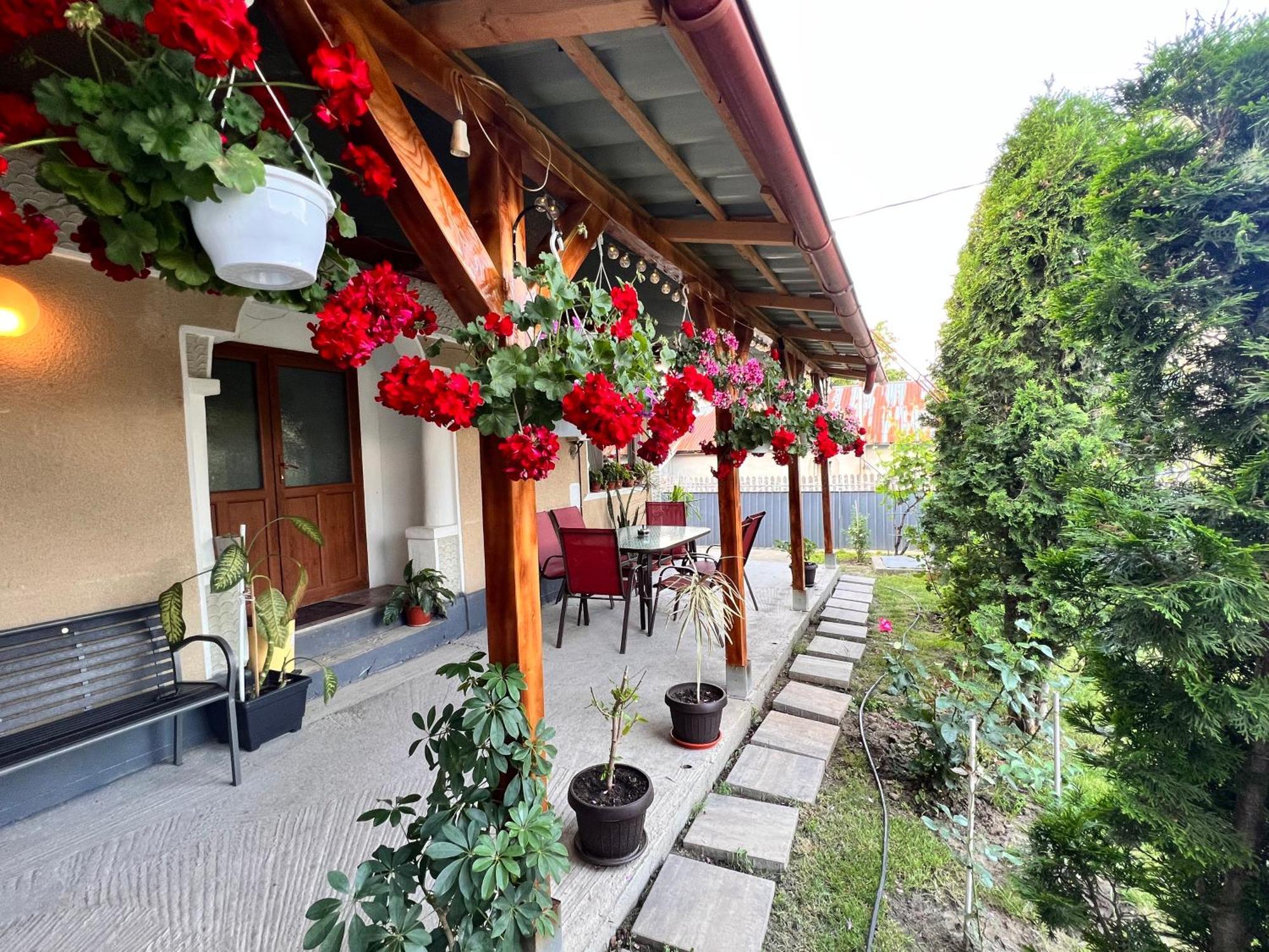Agropensiunea Vila Cristina Niculitel Екстер'єр фото